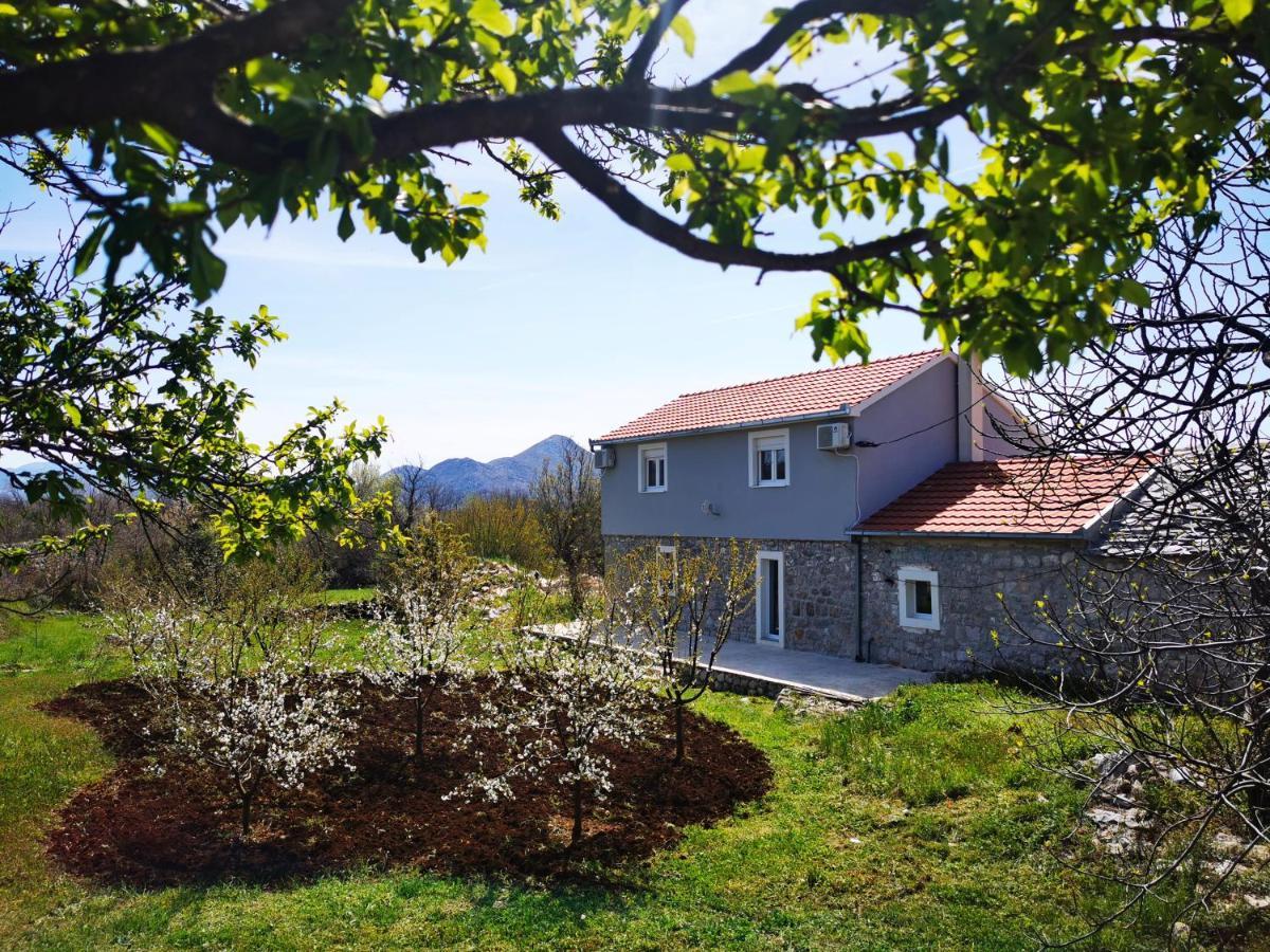 Apartmani Matej 트레빈예 외부 사진
