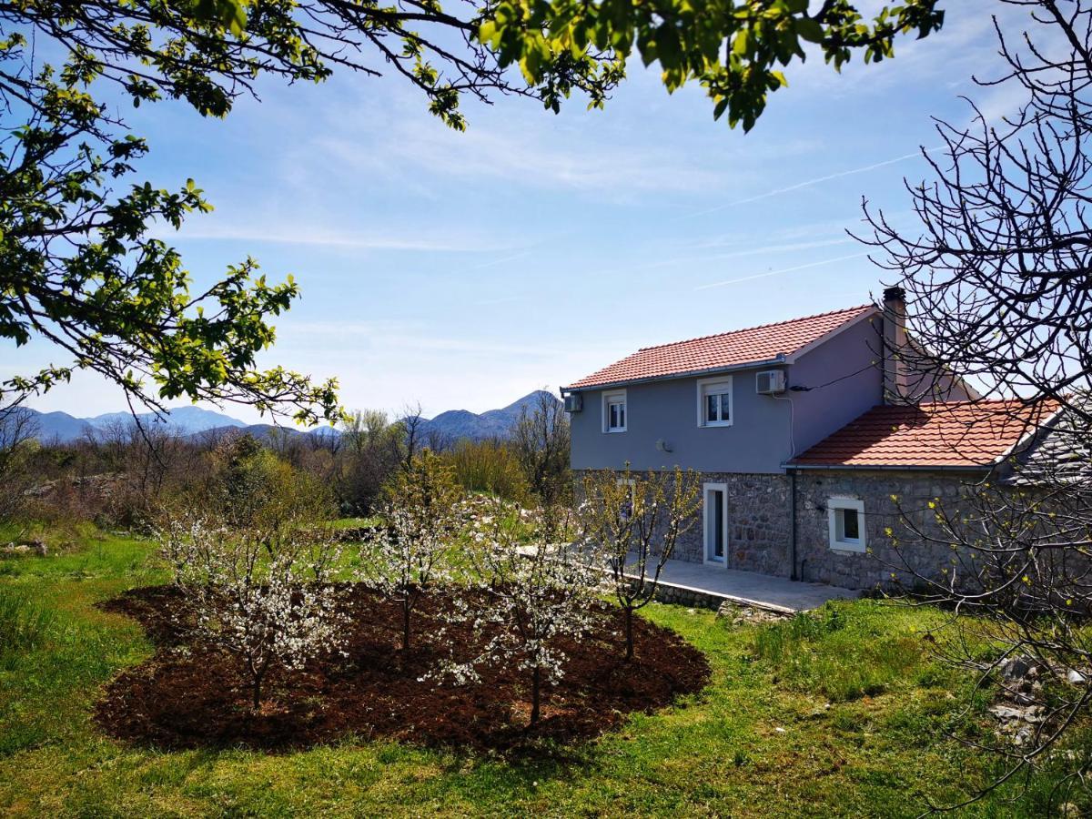 Apartmani Matej 트레빈예 외부 사진